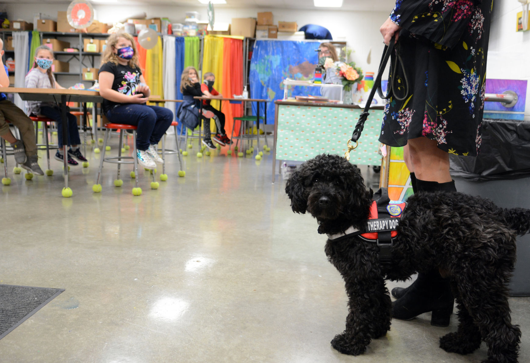 101921-port-news-therapy-dog-01